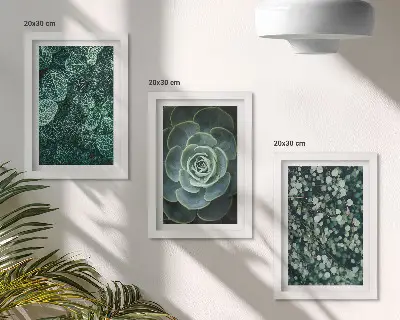 Set van ingelijste schilderijen met groene bladeren van vetplanten en tere takjes