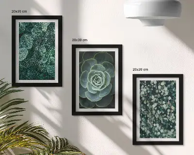 Set van ingelijste schilderijen met groene bladeren van vetplanten en tere takjes
