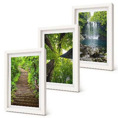 Gallery wall Bospad met waterval en groene vegetatie