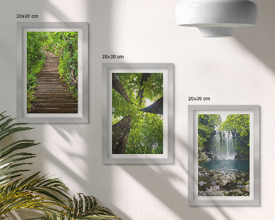 Gallery wall Bospad met waterval en groene vegetatie