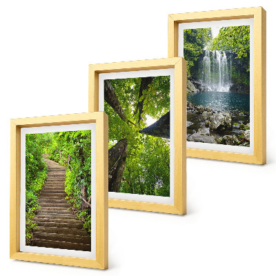 Gallery wall Bospad met waterval en groene vegetatie