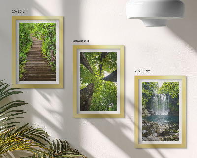 Gallery wall Bospad met waterval en groene vegetatie