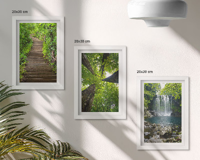 Gallery wall Bospad met waterval en groene vegetatie