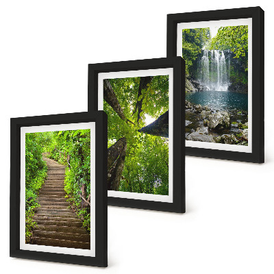 Gallery wall Bospad met waterval en groene vegetatie