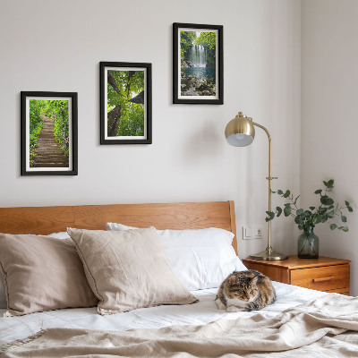 Gallery wall Bospad met waterval en groene vegetatie