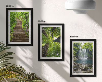 Gallery wall Bospad met waterval en groene vegetatie