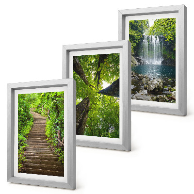 Gallery wall Bospad met waterval en groene vegetatie
