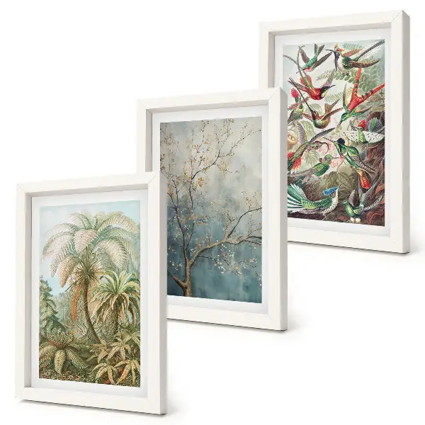Gallery wall met tropische planten en kleurrijke vogels in de natuur