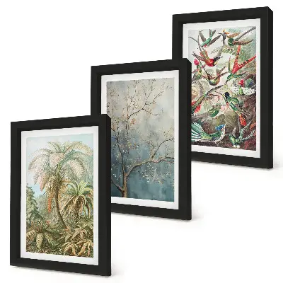Gallery wall met tropische planten en kleurrijke vogels in de natuur