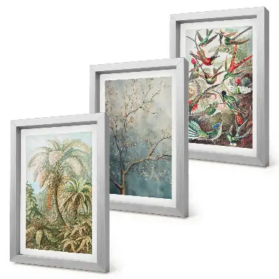 Gallery wall met tropische planten en kleurrijke vogels in de natuur