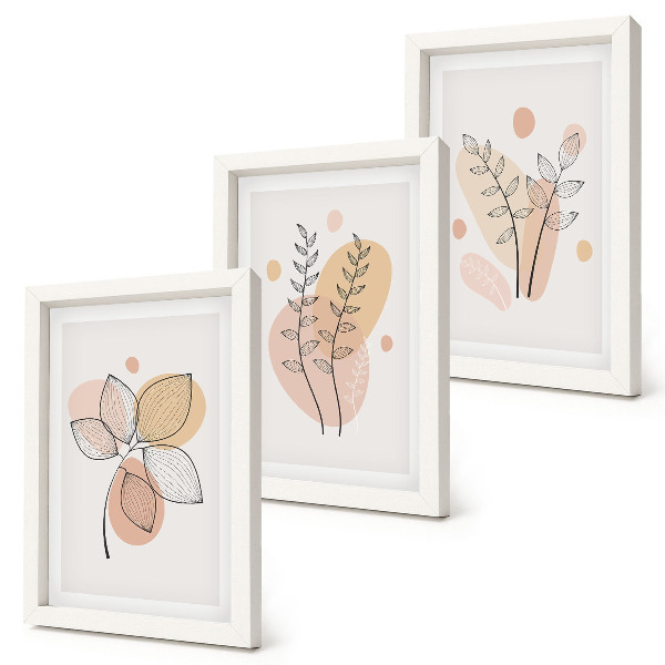 Set van ingelijste schilderijen Minimalistische planttekeningen in pastelkleuren