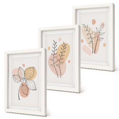 Set van ingelijste schilderijen Minimalistische planttekeningen in pastelkleuren