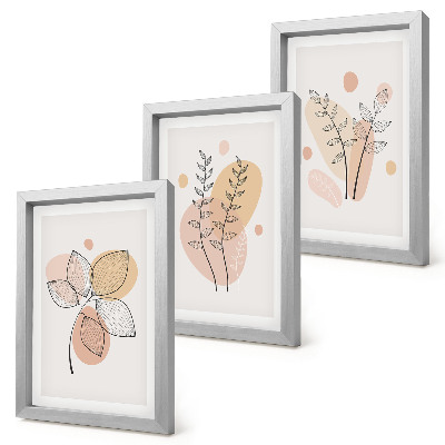 Set van ingelijste schilderijen Minimalistische planttekeningen in pastelkleuren