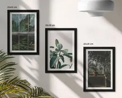 Set ingelijste schilderijen met groene bladeren en kamerplanten