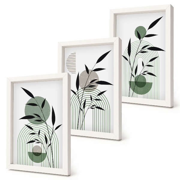 Gallery wall Abstracte plantcomposities in boho-stijl.