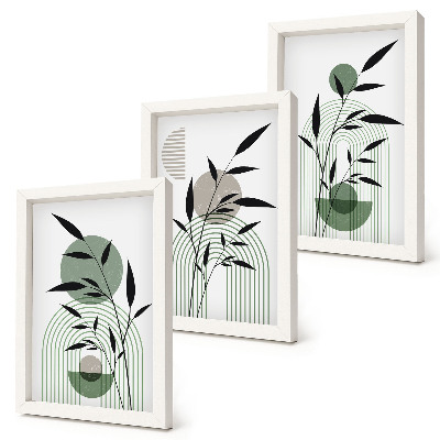 Gallery wall Abstracte plantcomposities in boho-stijl.