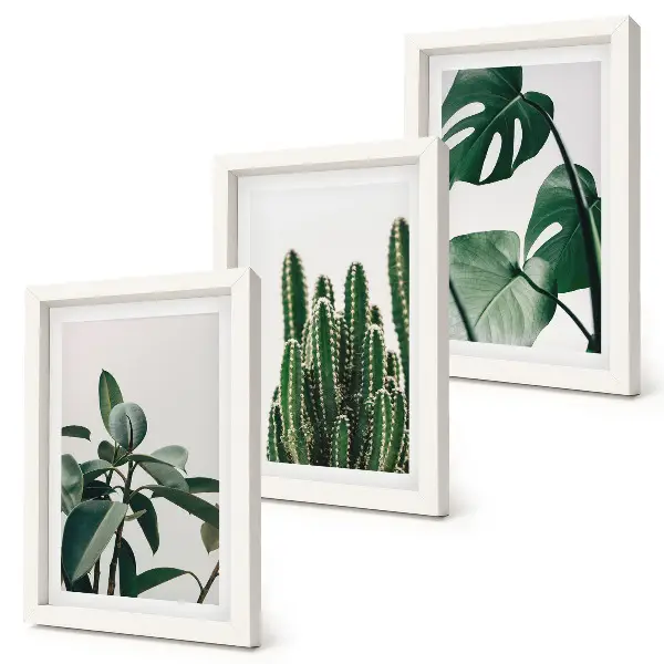 Tropische kamerplanten met esthetische bladeren voor aan de muur