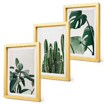 Tropische kamerplanten met esthetische bladeren voor aan de muur
