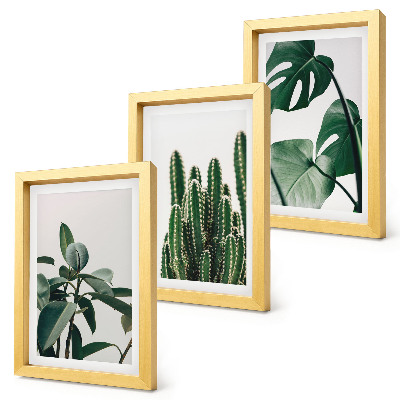 Gallery wall Tropische kamerplanten met esthetische bladeren