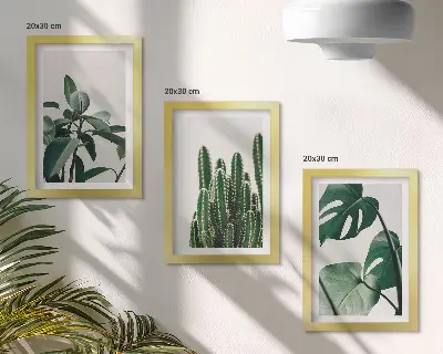 Tropische kamerplanten met esthetische bladeren voor aan de muur
