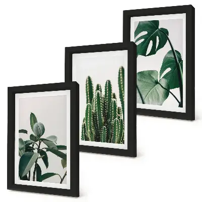 Tropische kamerplanten met esthetische bladeren voor aan de muur