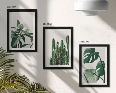 Tropische kamerplanten met esthetische bladeren voor aan de muur