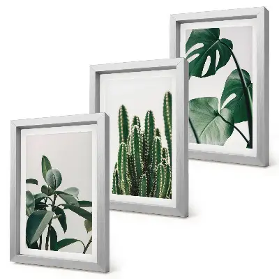 Tropische kamerplanten met esthetische bladeren voor aan de muur