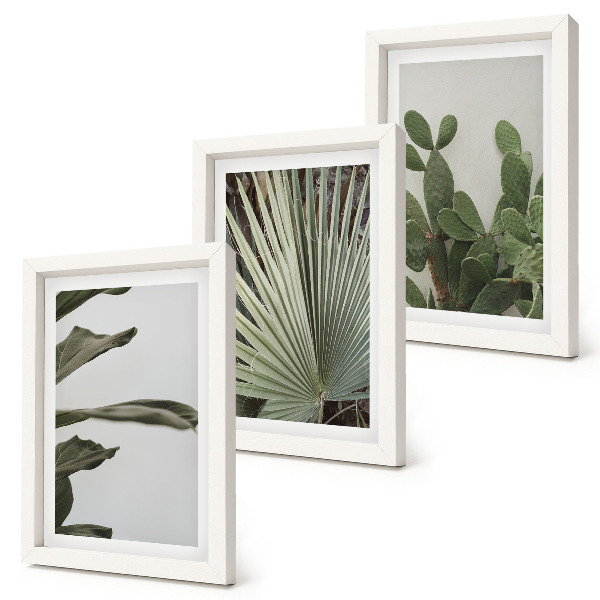 Gallery wall Bladeren van tropische planten in pastelkleuren