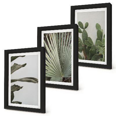 Gallery wall Bladeren van tropische planten in pastelkleuren