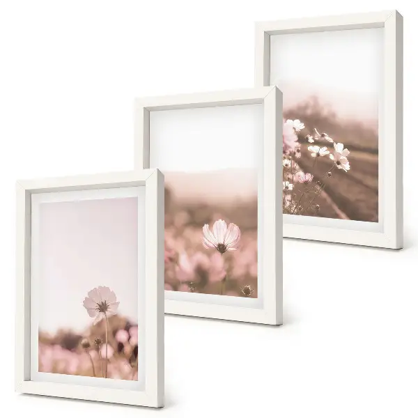 Set van ingelijste schilderijen met romantische landschappen van wilde bloemen in de zomer