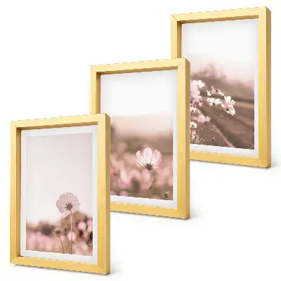 Set van ingelijste schilderijen met romantische landschappen van wilde bloemen in de zomer
