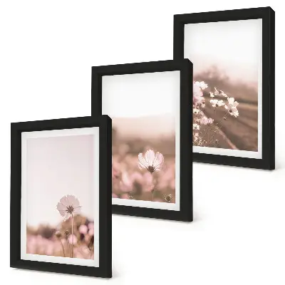 Set van ingelijste schilderijen met romantische landschappen van wilde bloemen in de zomer