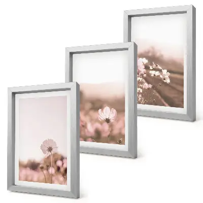 Set van ingelijste schilderijen met romantische landschappen van wilde bloemen in de zomer