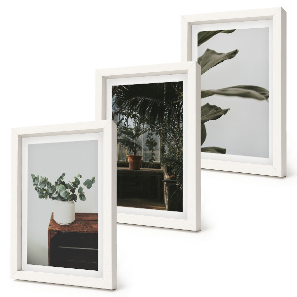 Gallery wall Potplanten met rustieke bladeren
