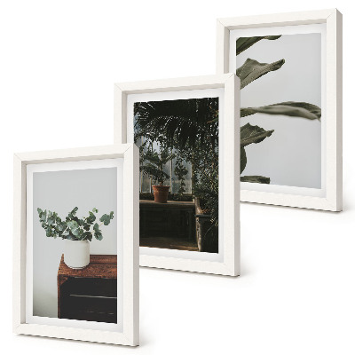 Gallery wall Potplanten met rustieke bladeren