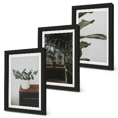 Gallery wall Potplanten met rustieke bladeren