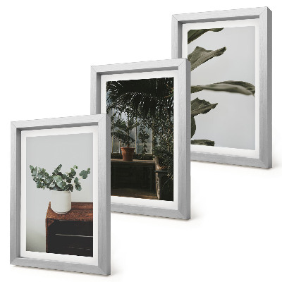 Gallery wall Potplanten met rustieke bladeren