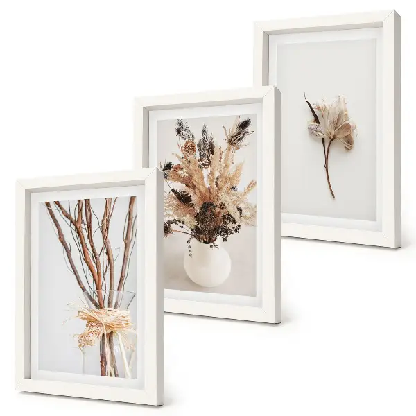 Set van ingelijste schilderijen met bloemen en takken in een minimalistische, natuurlijke stijl