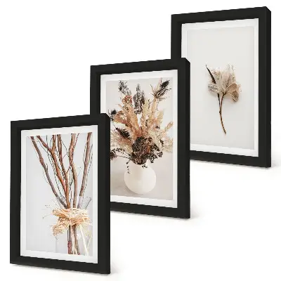 Set van ingelijste schilderijen met bloemen en takken in een minimalistische, natuurlijke stijl