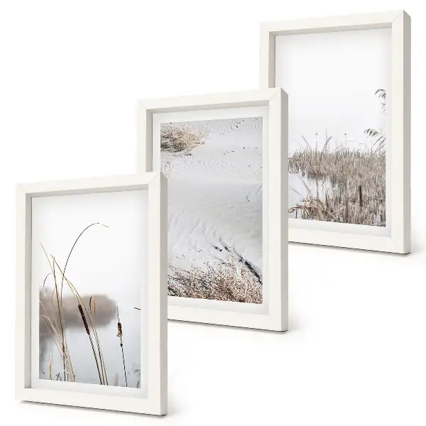 Gallery wall met delicate zomerse uitzichten op waterplanten