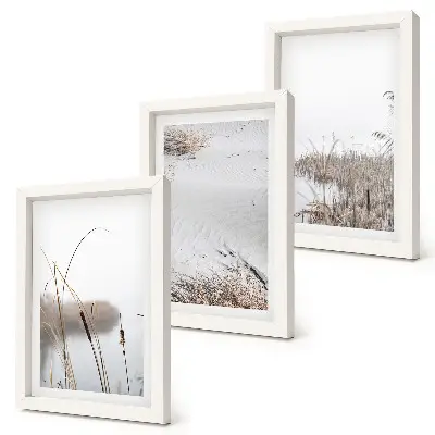 Gallery wall met delicate zomerse uitzichten op waterplanten