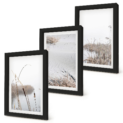 Gallery wall delicate zomerse uitzichten op waterplanten