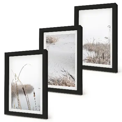 Gallery wall met delicate zomerse uitzichten op waterplanten