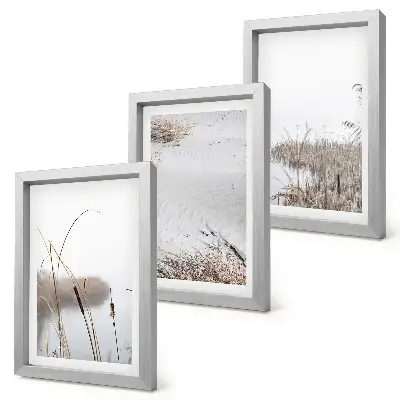 Gallery wall met delicate zomerse uitzichten op waterplanten