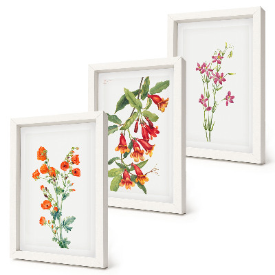 Set van ingelijste schilderijen Vintage retro bloemenschilderij