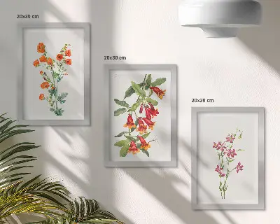 Set ingelijste schilderijen met vintage retro bloemenmotief