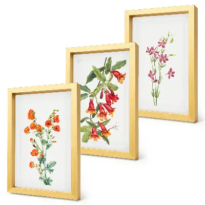 Set ingelijste schilderijen met vintage retro bloemenmotief