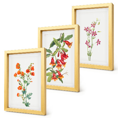 Set van ingelijste schilderijen Vintage retro bloemenschilderij