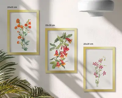 Set ingelijste schilderijen met vintage retro bloemenmotief