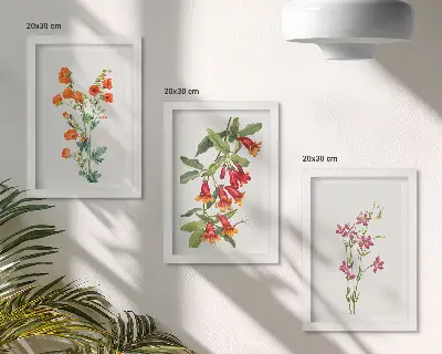 Set ingelijste schilderijen met vintage retro bloemenmotief